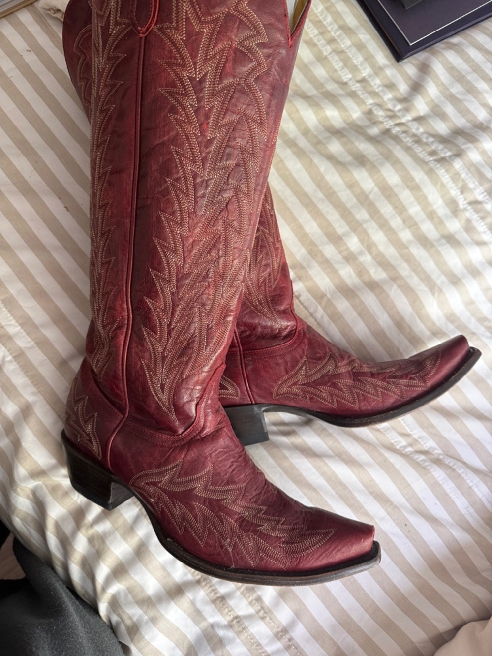 JRC & Sons Nancy Dark Red Sniptoe Tall Boot 11B